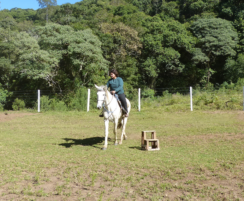 Passeios a Cavalo